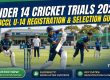 Under 14 Cricket Trials
